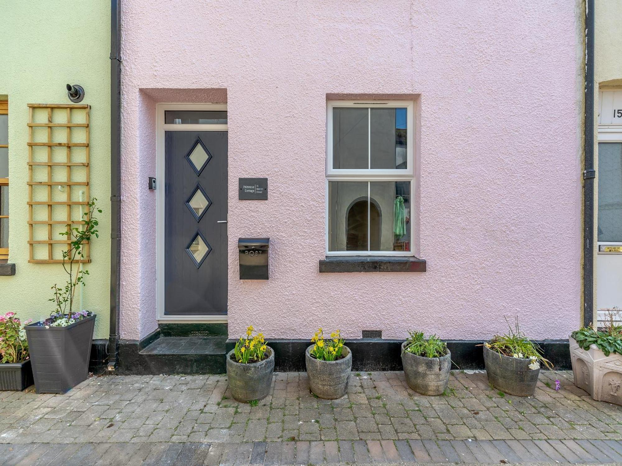 Primrose Cottage تيغنماوث المظهر الخارجي الصورة