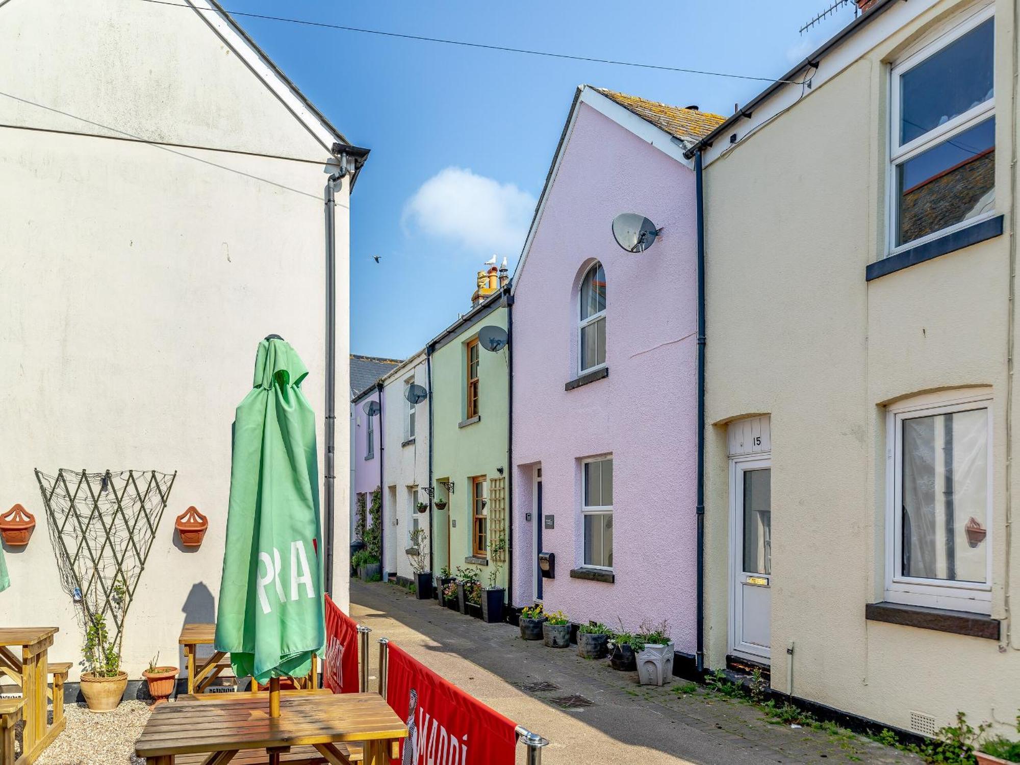 Primrose Cottage تيغنماوث المظهر الخارجي الصورة
